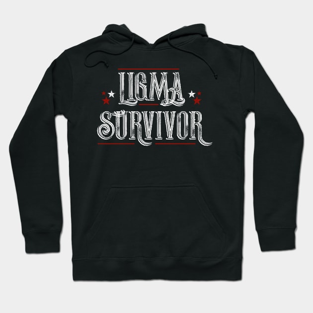Ligma sweater sale